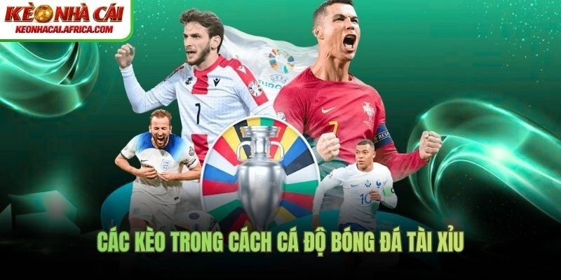 Các kèo trong cách cá độ bóng đá tài xỉu