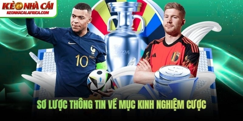 Sơ lược thông tin về mục kinh nghiệm cược