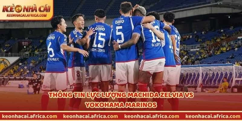 Thông tin lực lượng Machida Zelvia vs Yokohama Marinos
